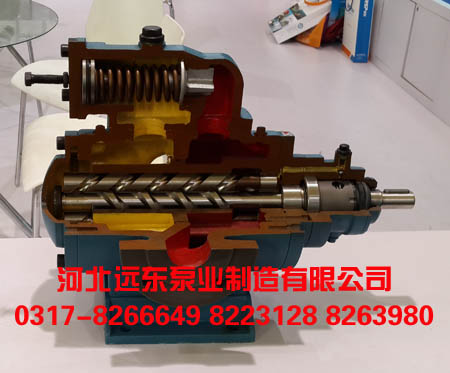 SNH���ݗU��